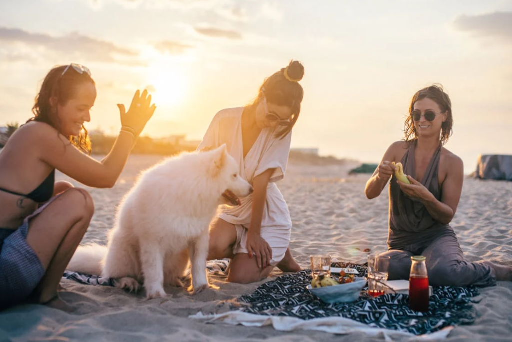 How to Turn Any Meal Into a Beach Picnic